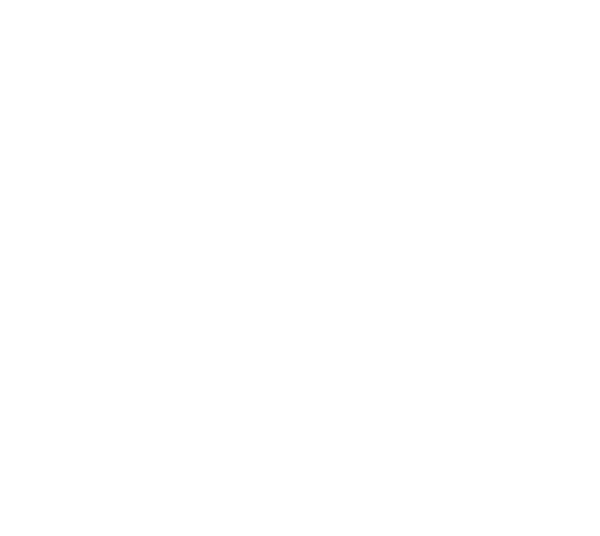 Renox Group